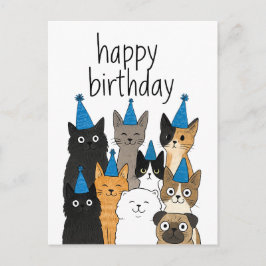 Kaart voor kattenliefhebbers - Verjaardagskaart vo