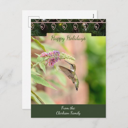 Kaart voor kerstmis met roofkolibrie (Voorkant / Achterkant)