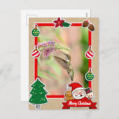 Kaart voor kerstmis met roofkolibrie (Voorkant / Achterkant)