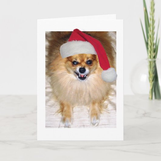 Kaart voor Kerstmis | Pomeranian Santa Dog (Voorkant)
