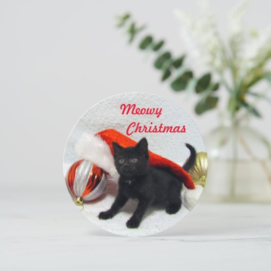 Kaart voor kerstmis van Joon - Cute Cat Pic (Staand voorkant)