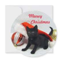 Kaart voor kerstmis van Joon - Cute Cat Pic