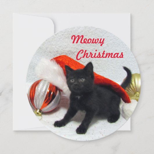 Kaart voor kerstmis van Joon - Cute Cat Pic (Voorkant)