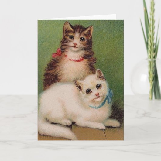 kaart voor noot bij katten (Voorkant)