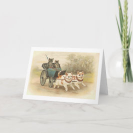  kaart voor noot bij katten