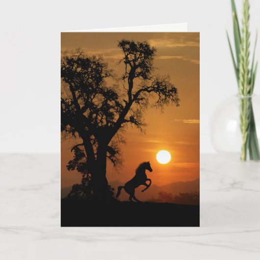 Kaart voor paarden- en eekbomen (Voorkant)