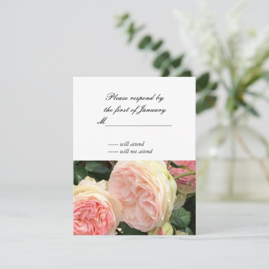 Kaart voor roze en crème Roos (Staand voorkant)