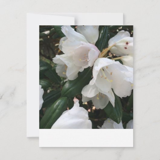 Kaart voor RSVP-respons met witte ventilator (Achterkant)