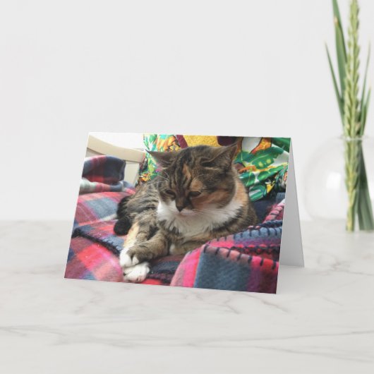 kaart voor snel herstel van kitten #2 (Voorkant)