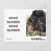 KAART VOOR "UW PET" IN HOESJE U HEBT EEN NOODZAAK (Achterkant)