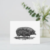  kaart voor varkensetsen (Staand voorkant)