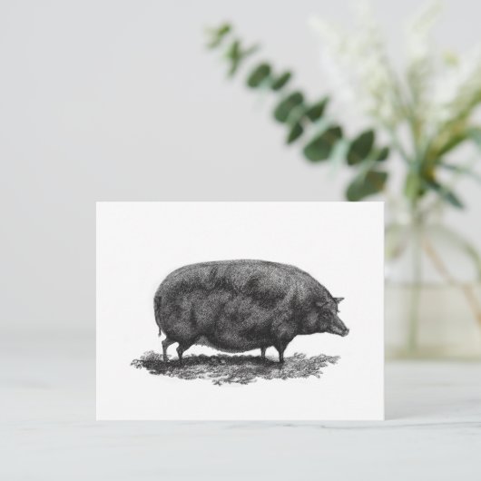  kaart voor varkensetsen (Staand voorkant)