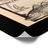 kaart voor verse en zoutwatervis poster (Hoek)