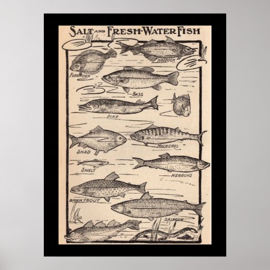 kaart voor verse en zoutwatervis poster (Voorkant)