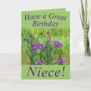 Kaart voor vogelpest voor nicht