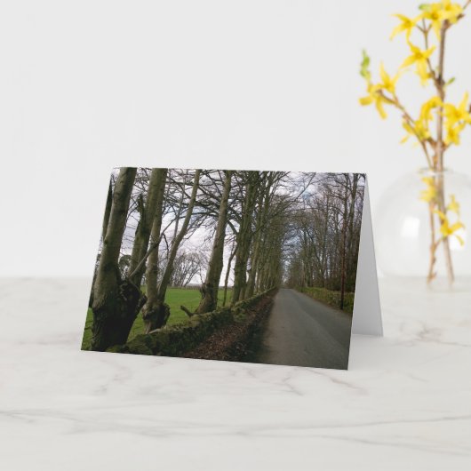 Kaart voor wegnota over weidegrond (Gele Bloem)