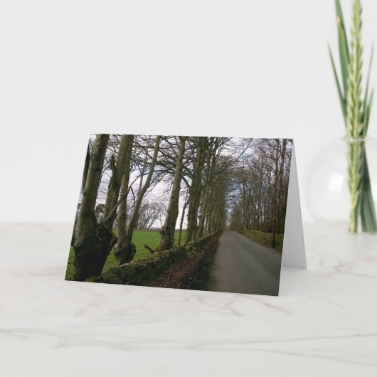 Kaart voor wegnota over weidegrond (Voorkant)