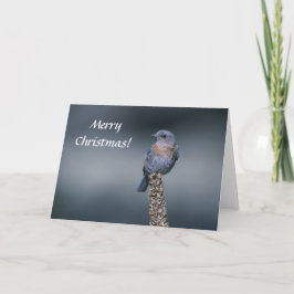 Kaart / Westerne Bluebird / Vrolijk kerstfeest!