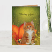 Kaart White Cat Kitten Flowers "Thinking of you" (Voorkant)