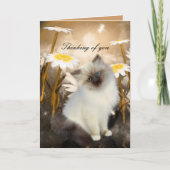 Kaart White Cat Kitten Flowers "Thinking of you" (Voorkant)
