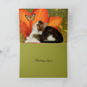 Kaart White Cat Kitten Flowers "Thinking of you" (Binnen)