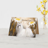 Kaart White Puppy Dog Flowers "Thinking of you" (Gele Bloem)