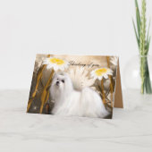 Kaart White Puppy Dog Flowers "Thinking of you" (Voorkant)