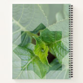 Kaart "Wie is de Schepper?" Notitieboek (Achterkant)