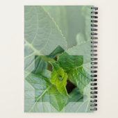 Kaart "Wie is de Schepper?" Notitieboek (Achterkant)