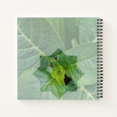 Kaart "Wie is de Schepper?" Notitieboek (Achterkant)