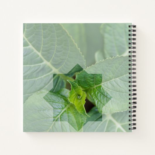 Kaart "Wie is de Schepper?" Notitieboek (Achterkant)