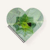 Kaart "Wie is de Schepper?" Notitieboek (Voorkant)