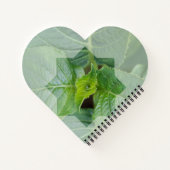 Kaart "Wie is de Schepper?" Notitieboek (Achterkant)