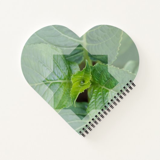 Kaart "Wie is de Schepper?" Notitieboek (Achterkant)