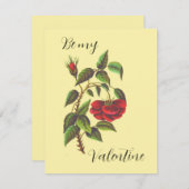  Kaart Wilde Red Rose Valentijnsdag (Voorkant / Achterkant)