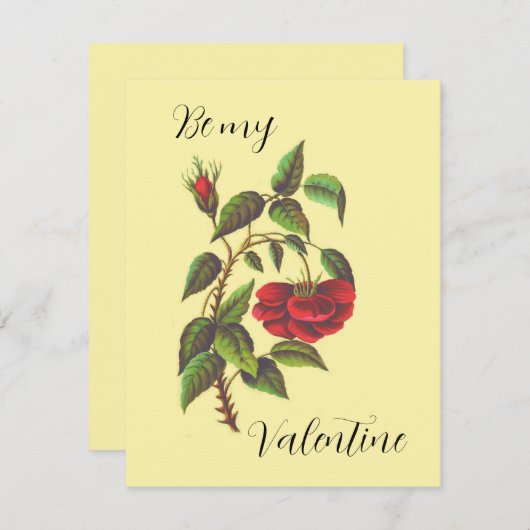 Kaart Wilde Red Rose Valentijnsdag (Voorkant / Achterkant)