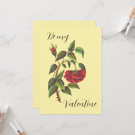  Kaart Wilde Red Rose Valentijnsdag (Voorkant / Achterkant in situ)