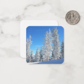 Kaart winterbomen notitiekaartje (Voorkant / Achterkant in situ)