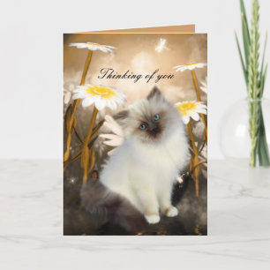 Kaart Witte Kat Kitten Bloemen "Denk aan jou"