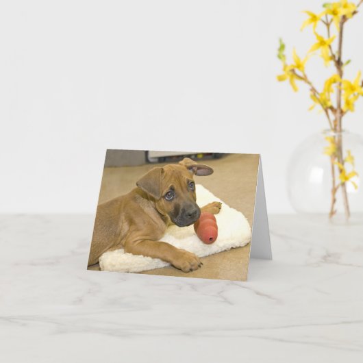 Kaarten 3 van de Nota van de tekkel (Gele Bloem)