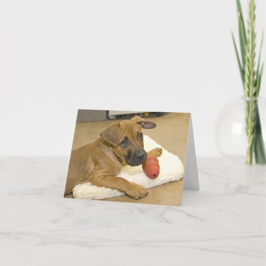 Kaarten 3 van de Nota van de tekkel (Voorkant)