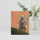  Kaarten, Briefkaarten, Stickers Briefkaart (Staand voorkant)