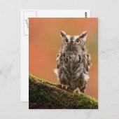  Kaarten, Briefkaarten, Stickers Briefkaart (Voorkant / Achterkant)