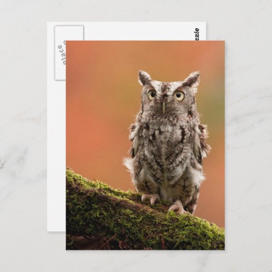 Kaarten, Briefkaarten, Stickers Briefkaart (Voorkant / Achterkant)