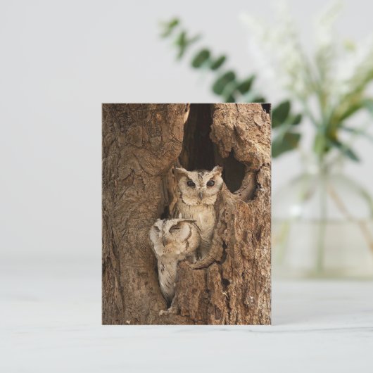  Kaarten, Briefkaarten, Stickers Briefkaart (Staand voorkant)