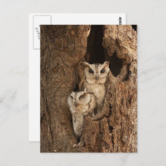  Kaarten, Briefkaarten, Stickers Briefkaart (Voorkant / Achterkant)