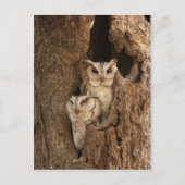  Kaarten, Briefkaarten, Stickers Briefkaart (Voorkant)