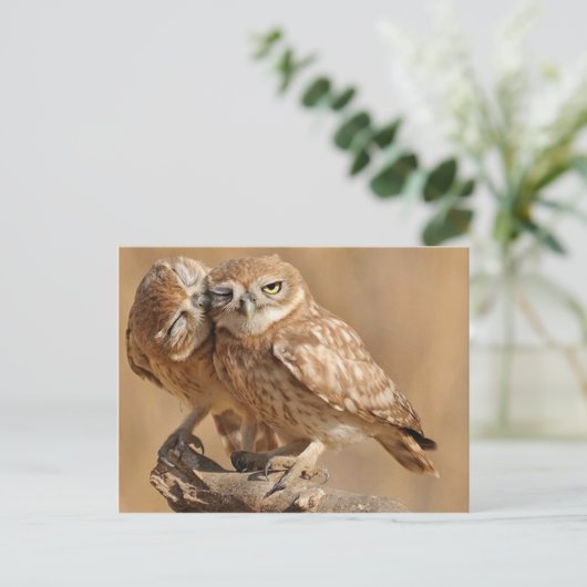  Kaarten, Briefkaarten, Stickers Briefkaart (Staand voorkant)