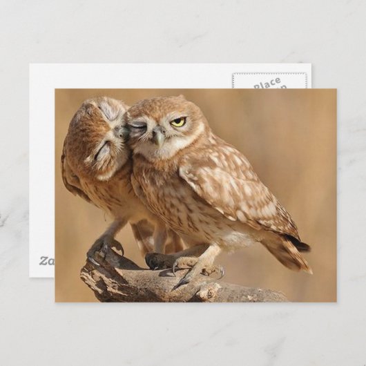  Kaarten, Briefkaarten, Stickers Briefkaart (Voorkant / Achterkant)