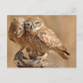  Kaarten, Briefkaarten, Stickers Briefkaart (Voorkant)